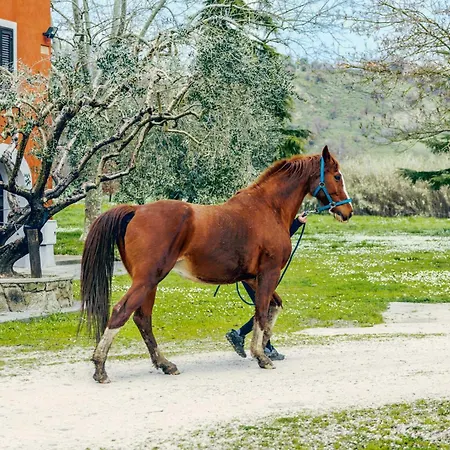 I Due Casini Feriegård *