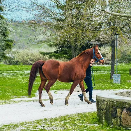 I Due Casini Estadia no rancho